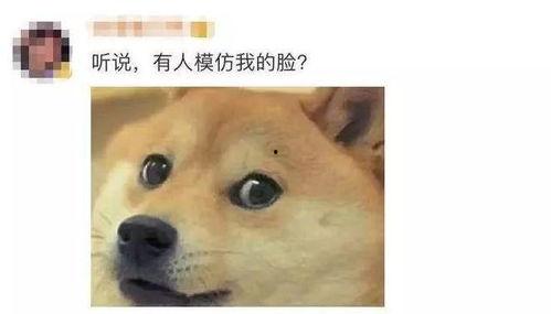 狗头黑料吃瓜,吃瓜群众热议娱乐圈新热点